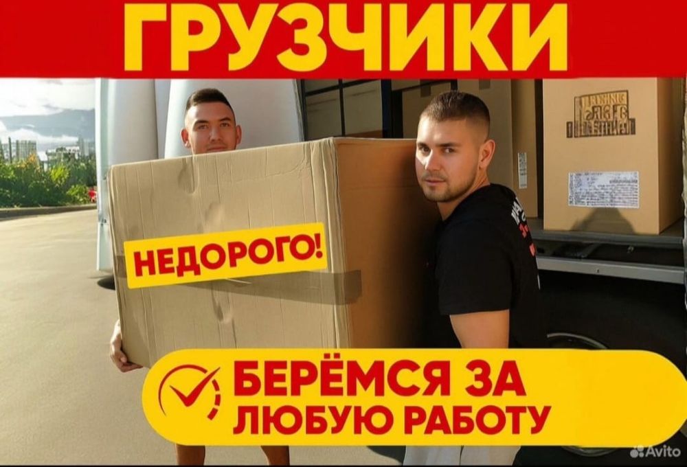 Гузчики семей недорого