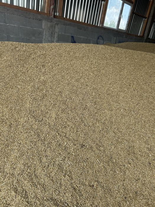 Cereale de vanzare
