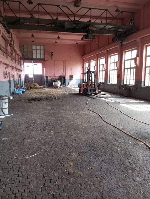 Дава се под наем Промишлена сграда в с. Калояновец, Област Стара Загора - 750 кв.м за 612 € - Снимка #5