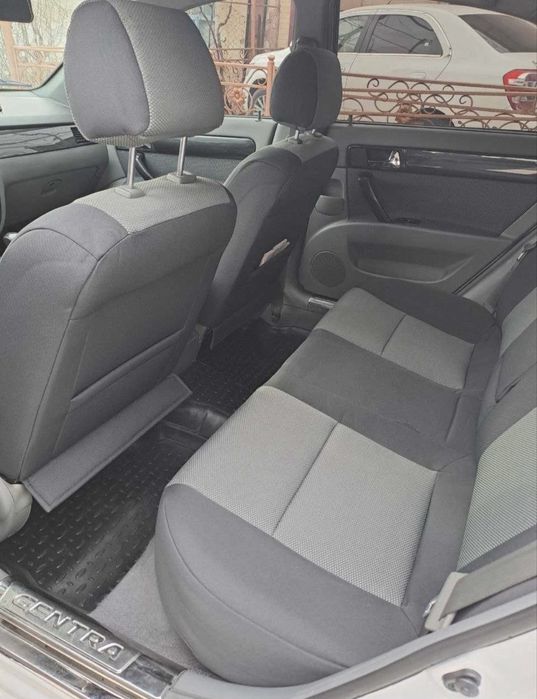 lasetti jentra lacerti