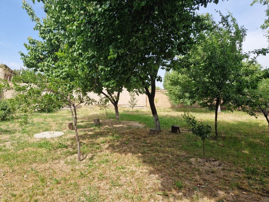 Тошкент туманида ер участкаси сотилади. 3 соток.