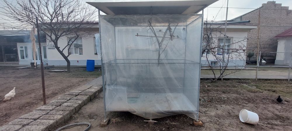 Валйер сотилади холати йенгиде