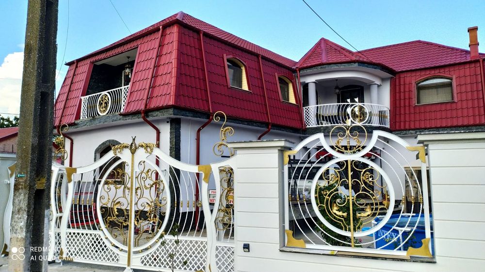 Porti și garduri din fier forjat și tablă debitată