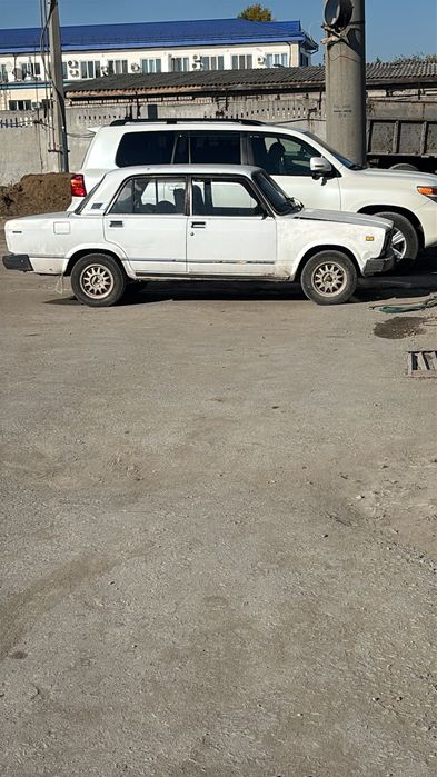 Продам тогр есть