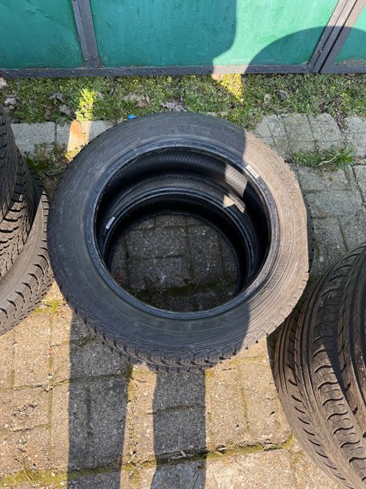 Голямо Разнообразие от Гуми!