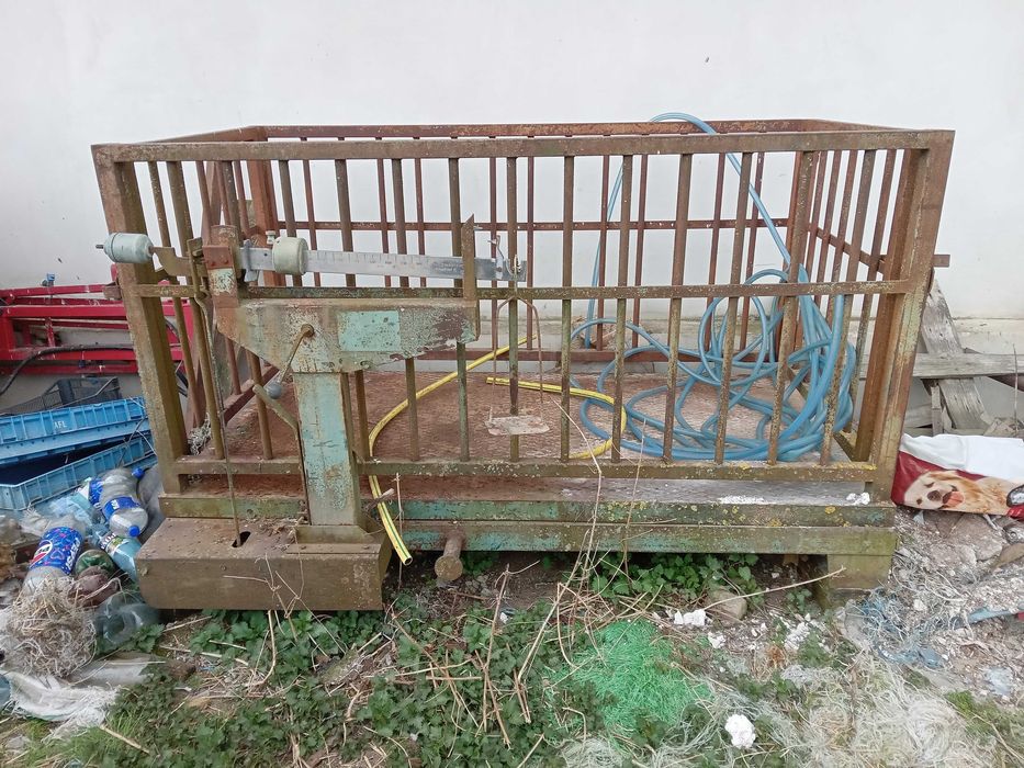 Cantar pentru animale