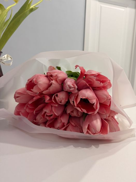 Розовый тюльпан.