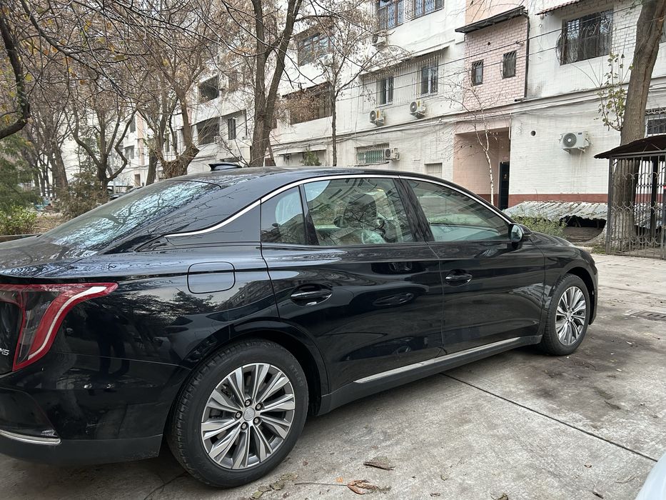 Hongqi E - QM 5  (500)