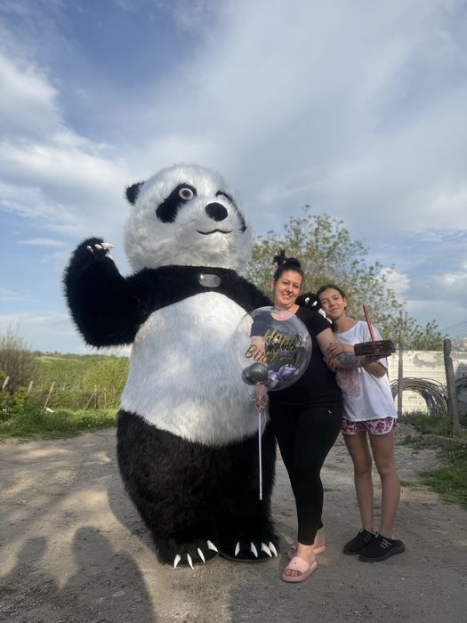 Изненада с панда *Промо*