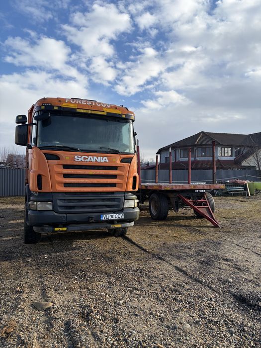 Automacara forestiera