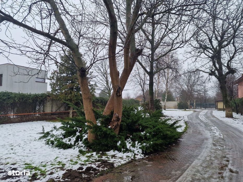 Buftea teren pe colt cu dubla deschidere 500 mp AConstruire P+E