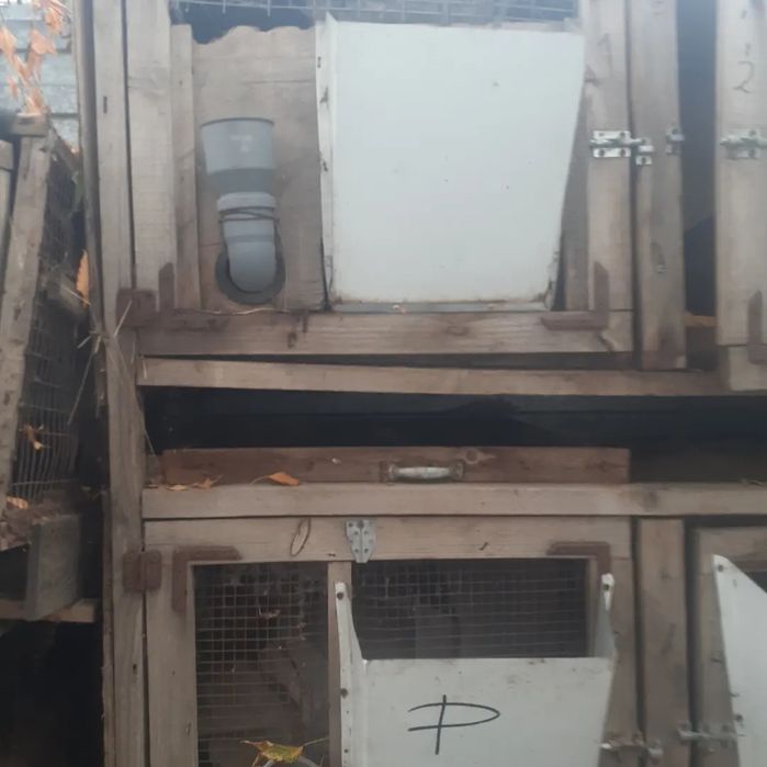 Продам недорого клетки для кроликов.  И