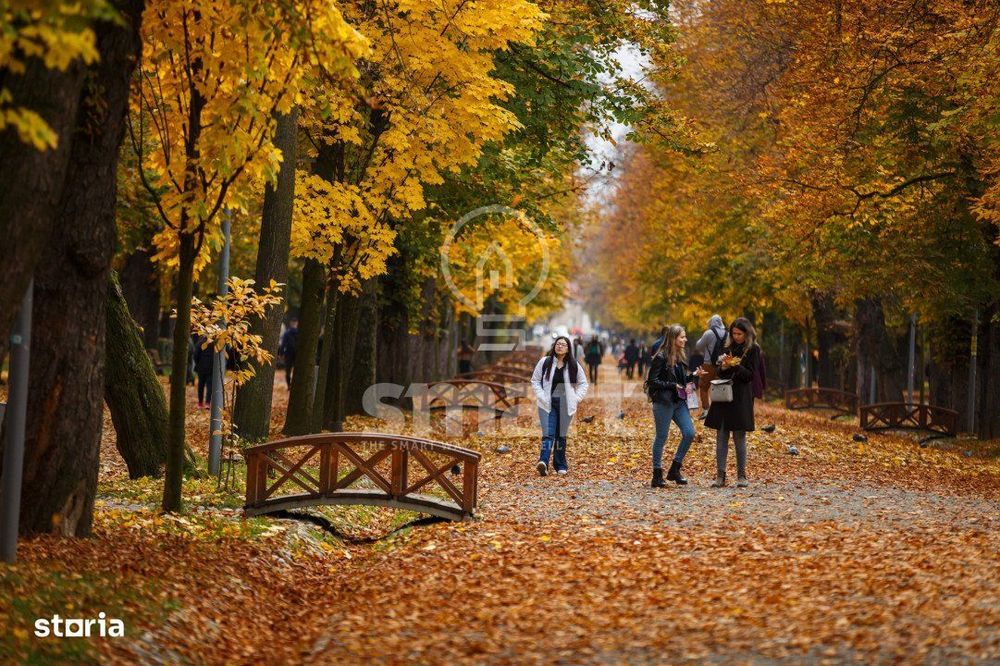 Apartament 2 camere decomandat Parcul Central