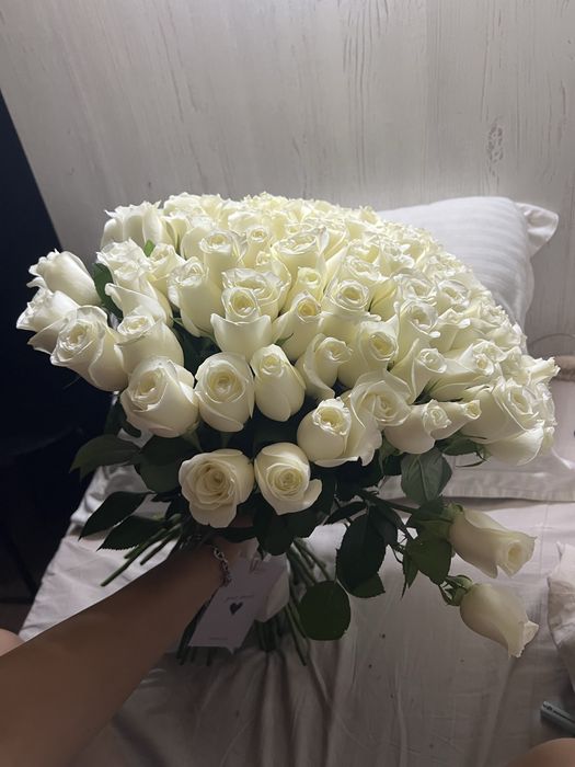 Свежие белые розы, 101 штука