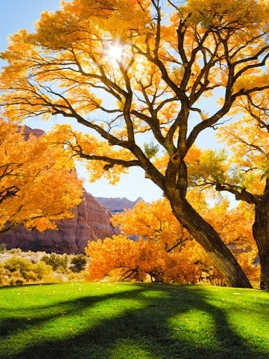 Картины стразами-алмазная мозаика