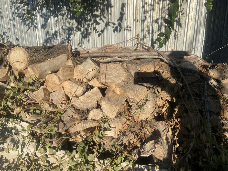 Дрова продам колотые карагаш