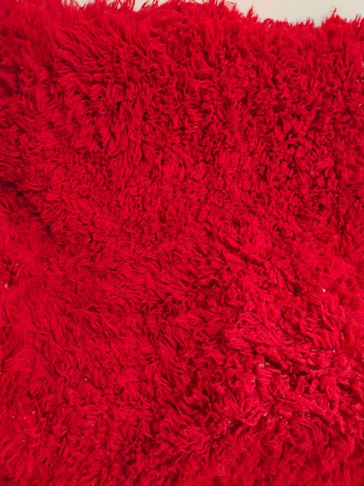 Два нови китеника