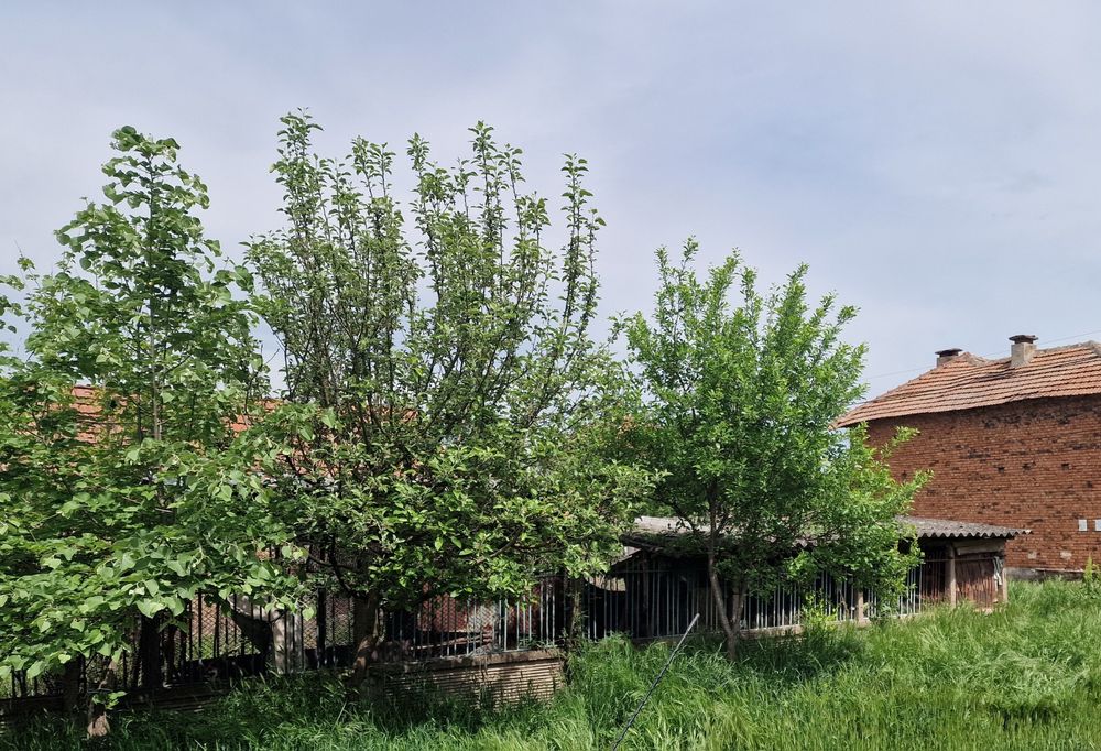 Продава се Къща в с. Ракево, Област Враца - 120 кв.м за 121 €/кв.м - Снимка #2