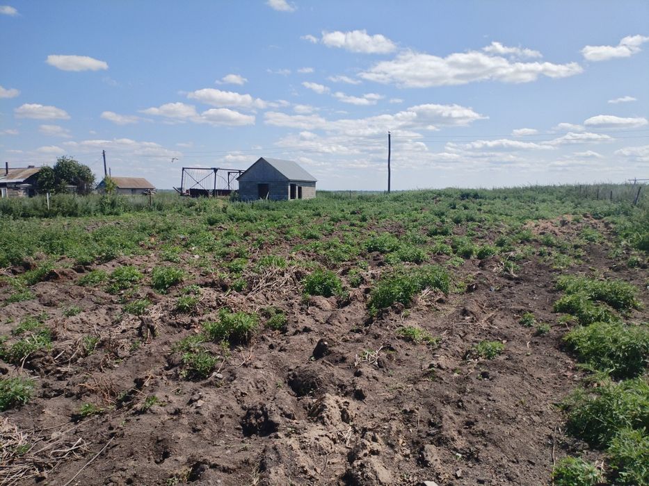 Земльный участок