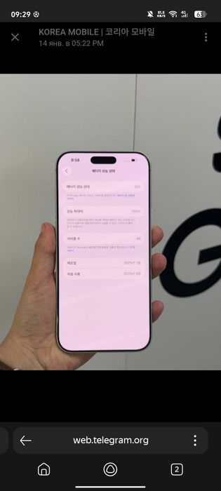 iPhone 17 Pro Max 256GB