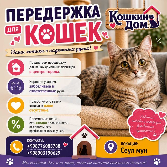 Передержка для кошек