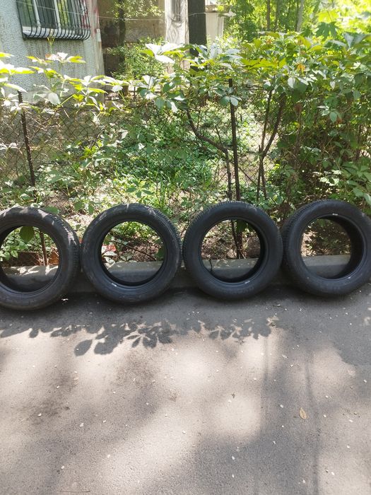 Шины летние nexen