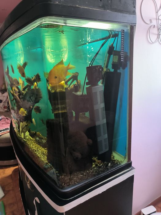 Продам аквариум с рыбками