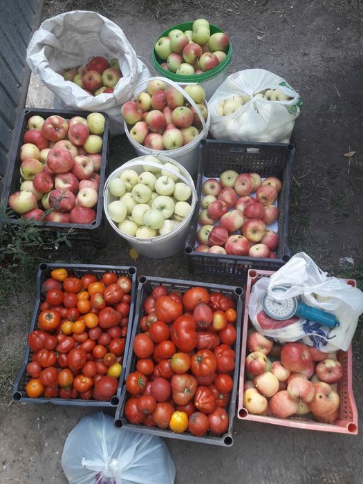 СРОЧНО !!! Продам дачу в хорошем районе.