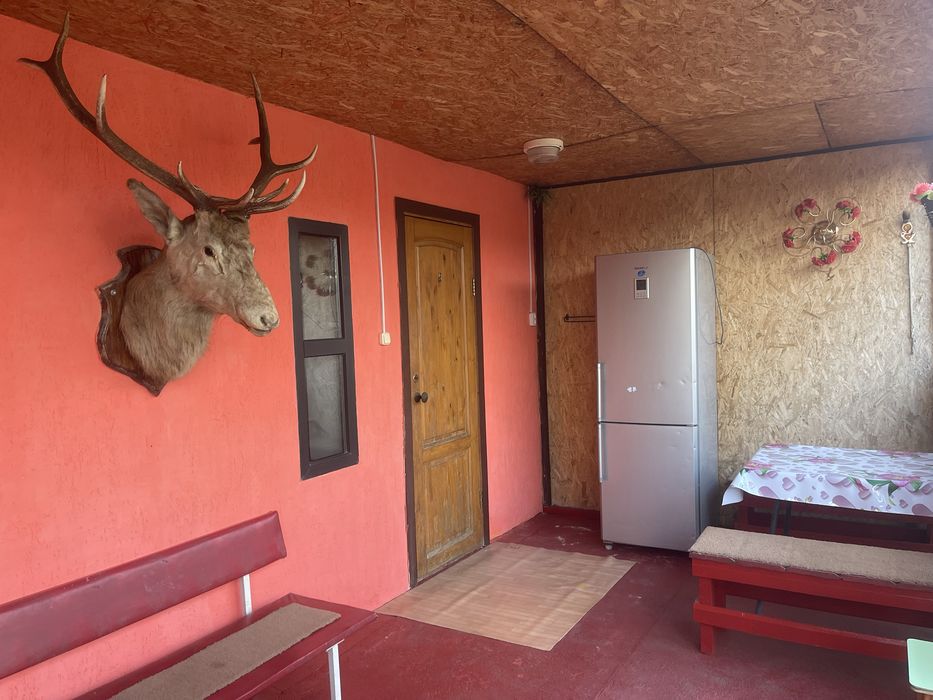 Сдам Домики Дом в Боровом