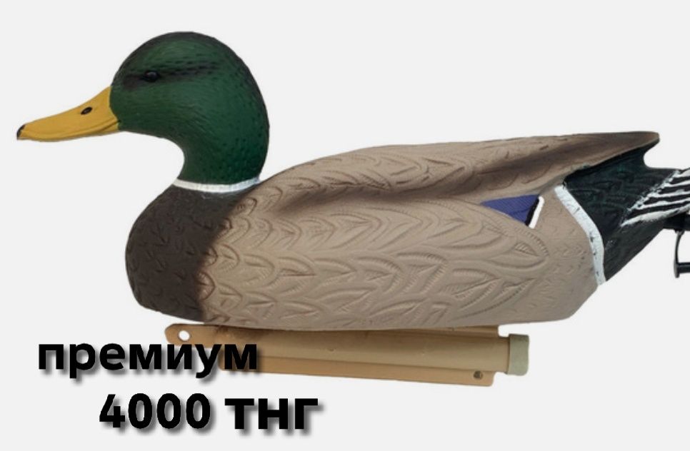 Утки чучела кряква