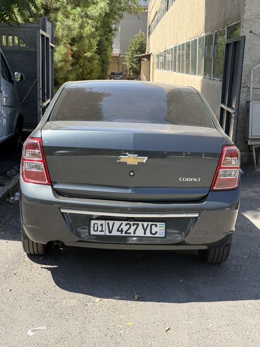 Cobalt stayl 2025