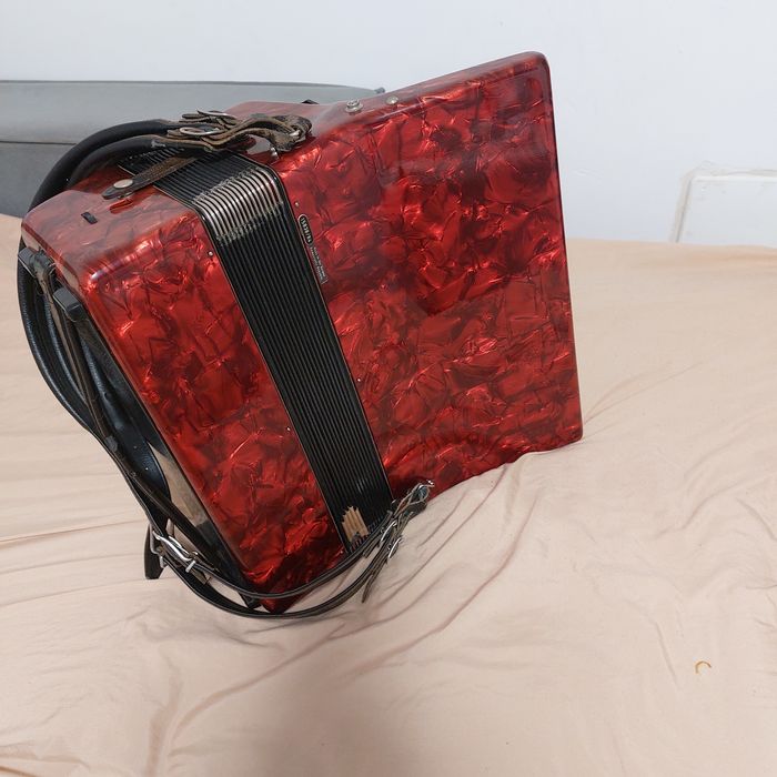 Vind acordeon profesional  wellmayster