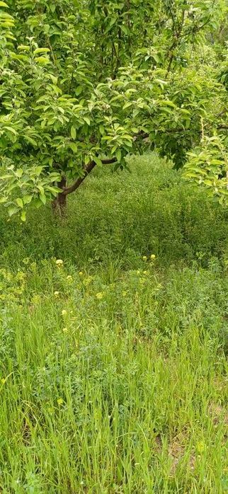 Срочно продаётся участок! Srochno uchastka sotiladi!