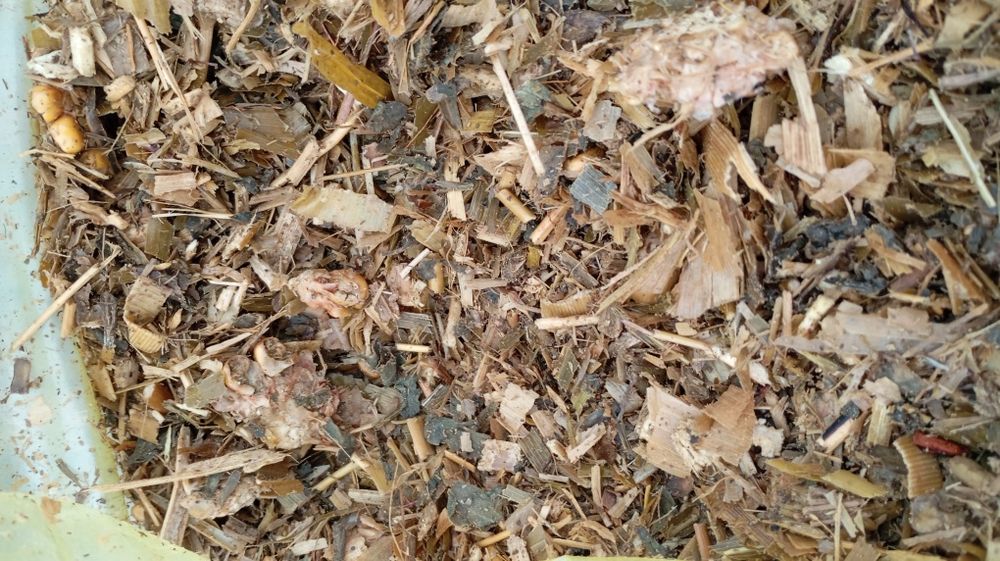 Donlik slos bor optim narxlarda