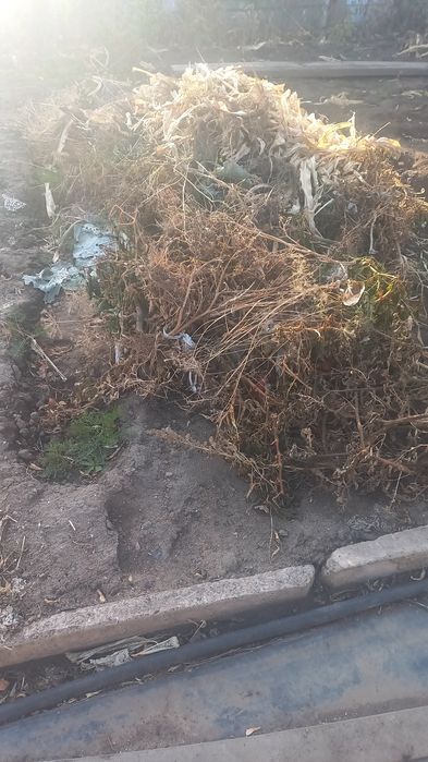 Отдам сено даром