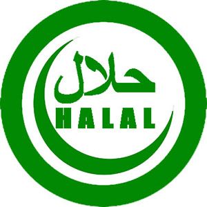 ФАРШ Халяль (оптом)