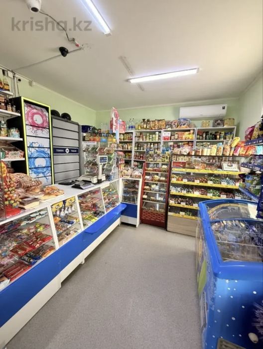 Продам частный дом-магазин