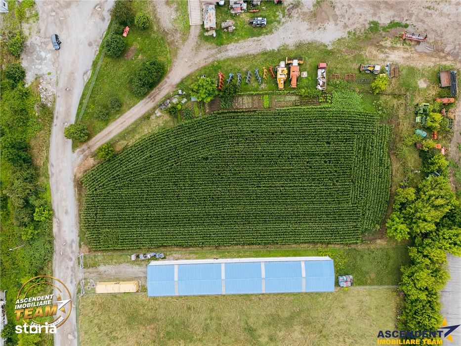 FILM! 4.600mp,aria industriala,utilitati aproape:hala,depozit,service