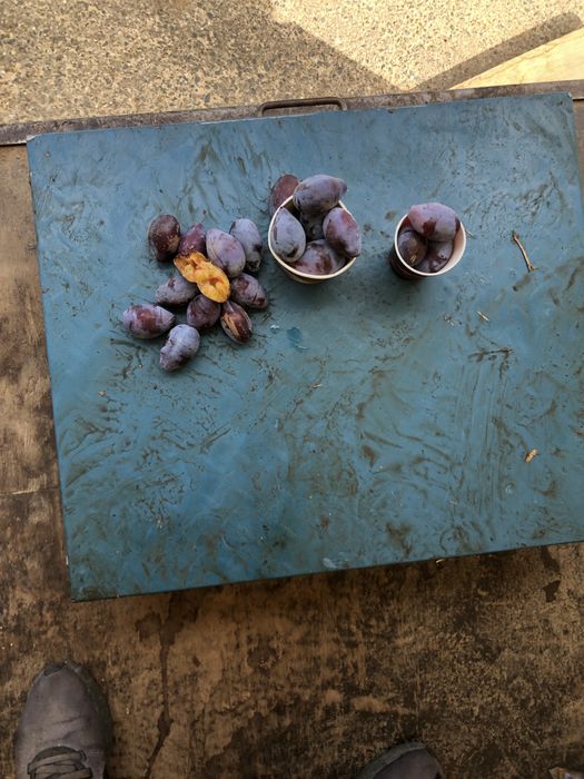Vand prune pentru tuica