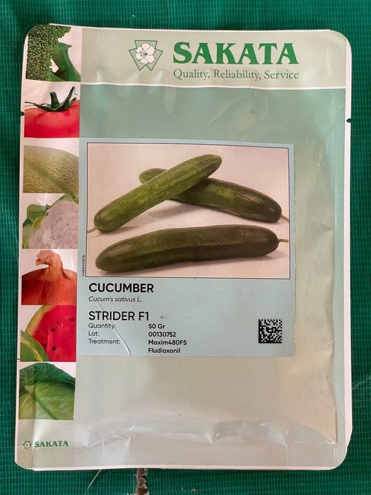 Семена разных видов