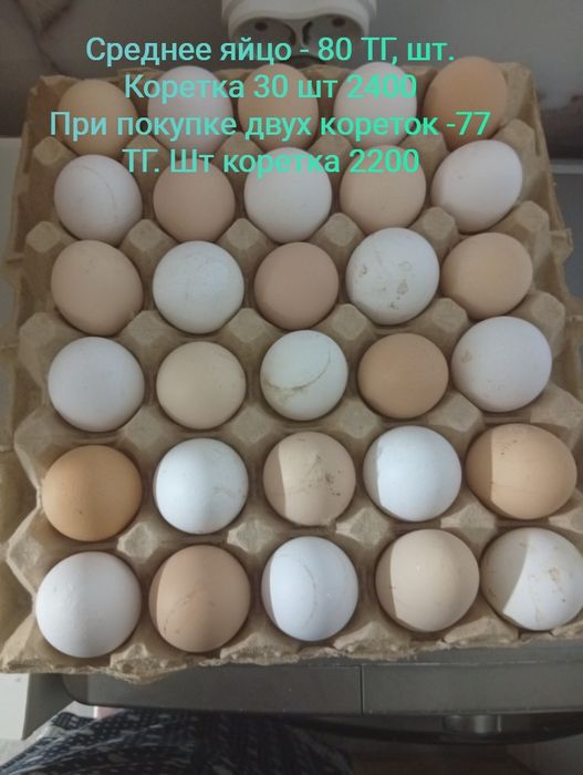 Продам яйца куриные домашние