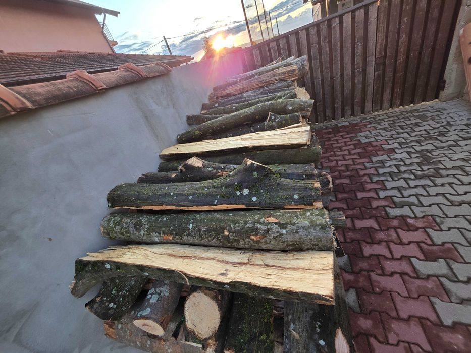 Lemne verzi 300 lei/m²