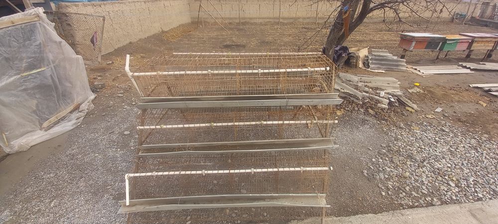 Katak 6 dona taklanib yigiladi