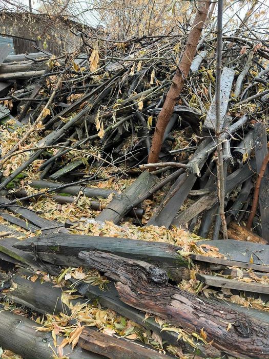 Продам Дрова срочно