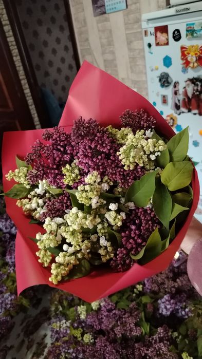 Свежие букеты сирень