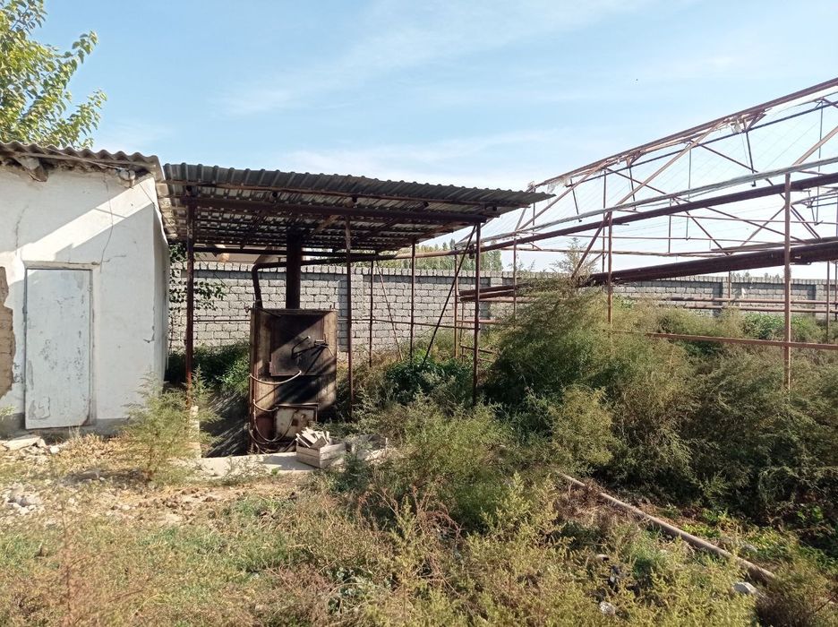 30 соток из них 20 соток теплица в  район Янгийул туман Халкабад