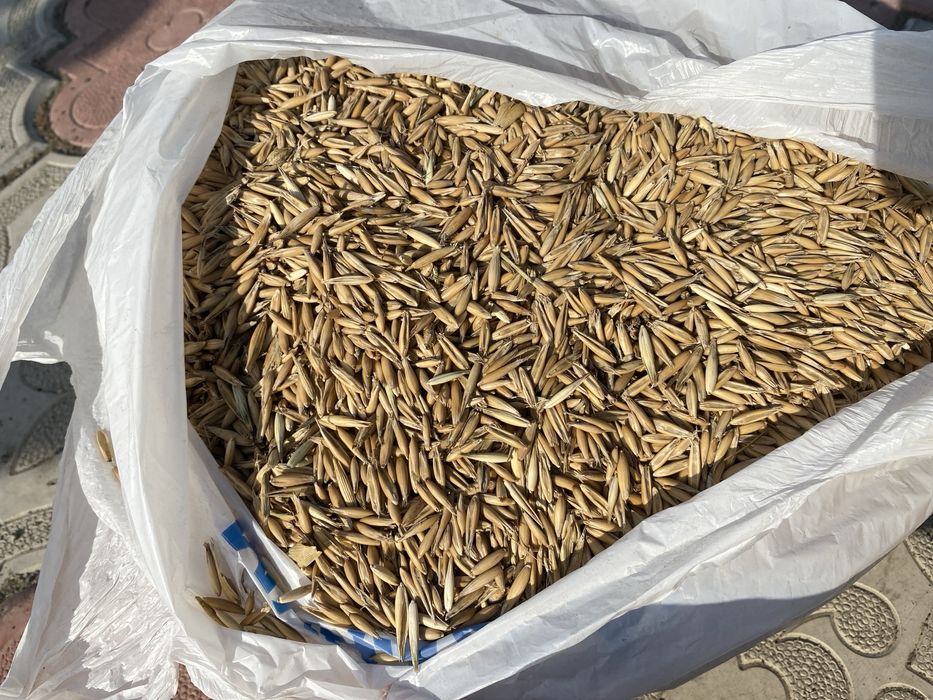 Овес Сұлы сатамын капта 40кг