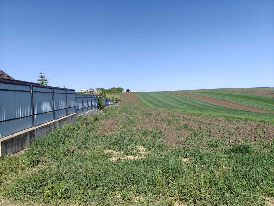 Teren intravilan 3.800 mp, Moara Nica, Suceava