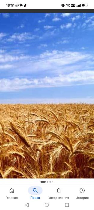 Успей купить! Горячая продажа КХ  в рассрочку!