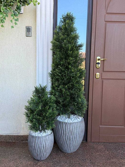 Искусственные деревья с душой (фикус,пальма,туя ,стрелиция, кашпо)